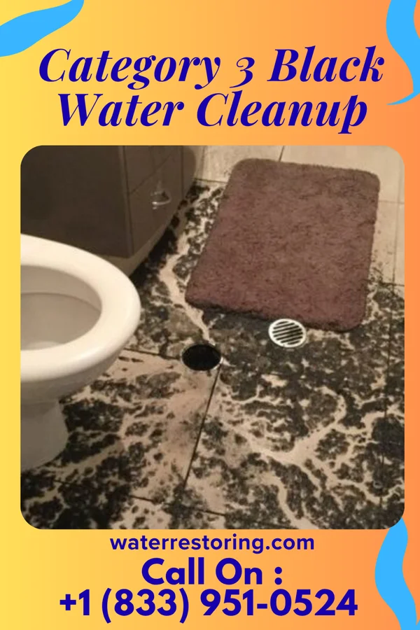 Category 3 Black Water Cleanup in Syracuse, UT