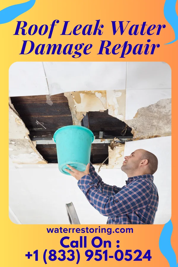 Roof Leak Water Damage Repair in Syracuse, UT